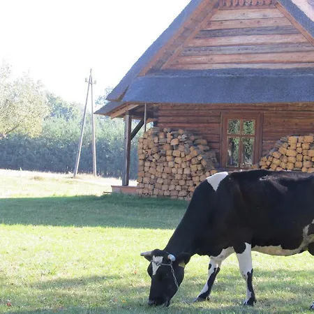 Lantgård Przytulisko Pod Strzecha Medrzechow